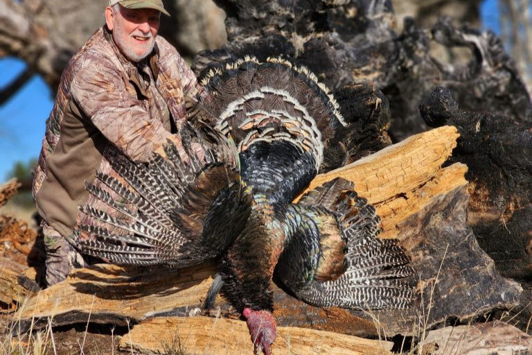 New Zealand Merriams Turkey Hunting