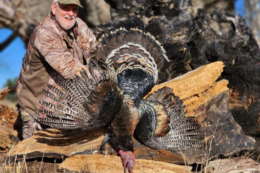 New Zealand Merriams Turkey Hunting