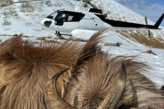 Helicopter Tahr Hunting