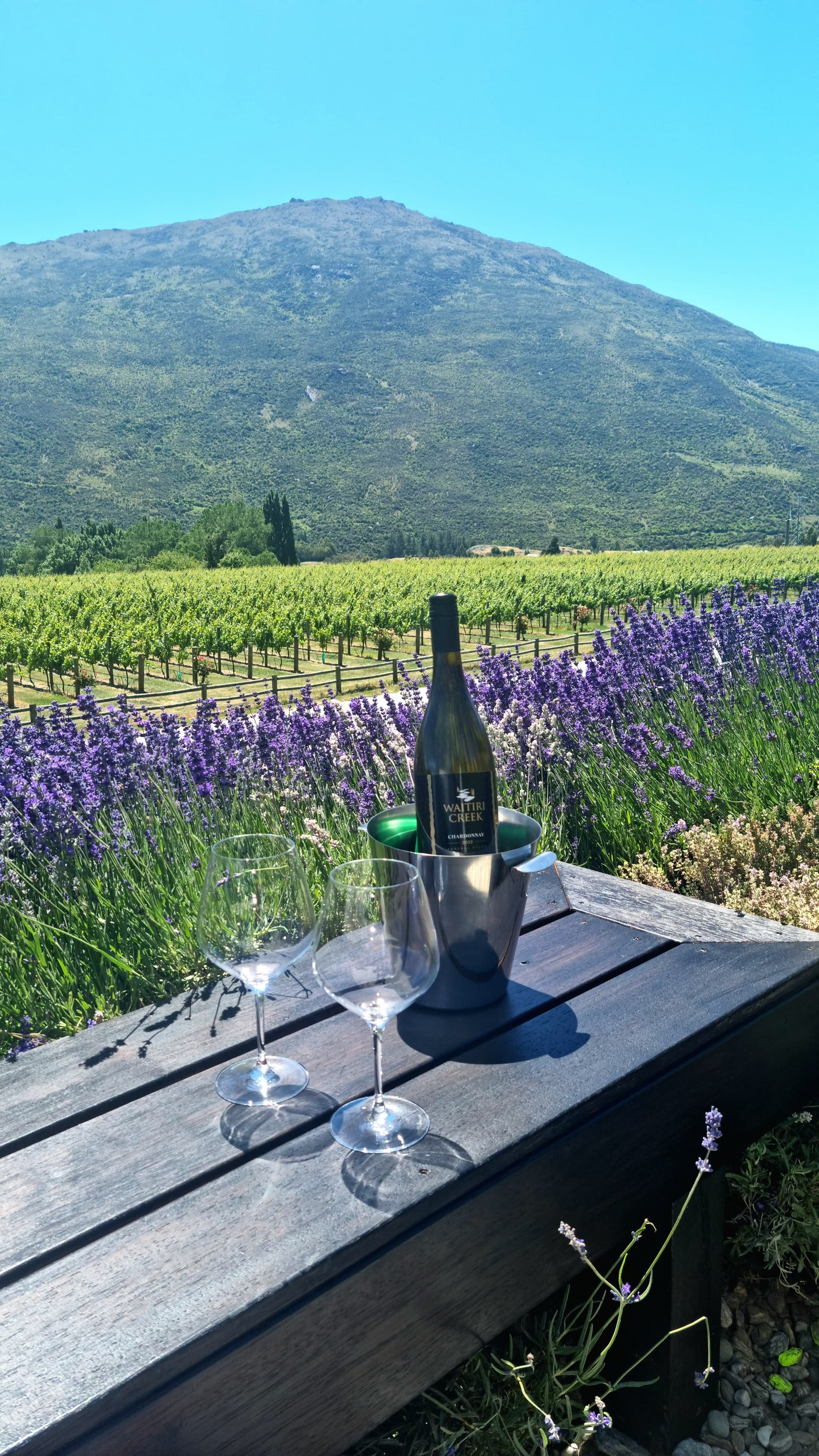 Heli Hike With Wine Tasting Tour (4 Pax)